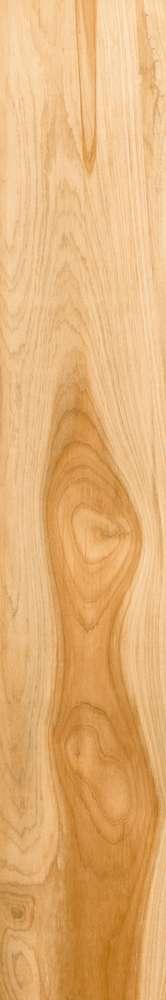 กระเบื้องปูพื้นและผนังพอร์ซเลน COTTO GP 20x120 รุ่น เชอร์ริช เบจ (HYG) R10 R/T PM-1