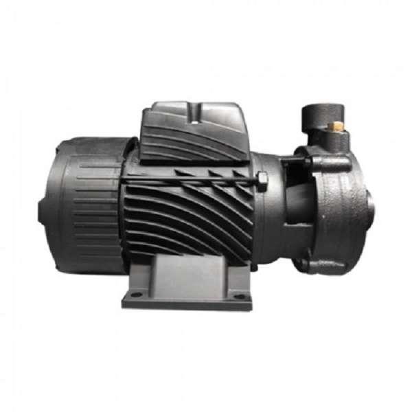 ปั้มหอยโข่ง 1*1 0.75HP 1DK-20 PUMPMAN-1