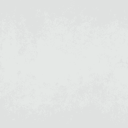 กระเบื้องคอตโต้ FT 16x16 วีลล์ (II) เทาอ่อน (SD) PM-1