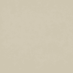 กระเบื้องคอตโต้ FT 16x16 วีลล์ (II) เบจ (SD) PM-1