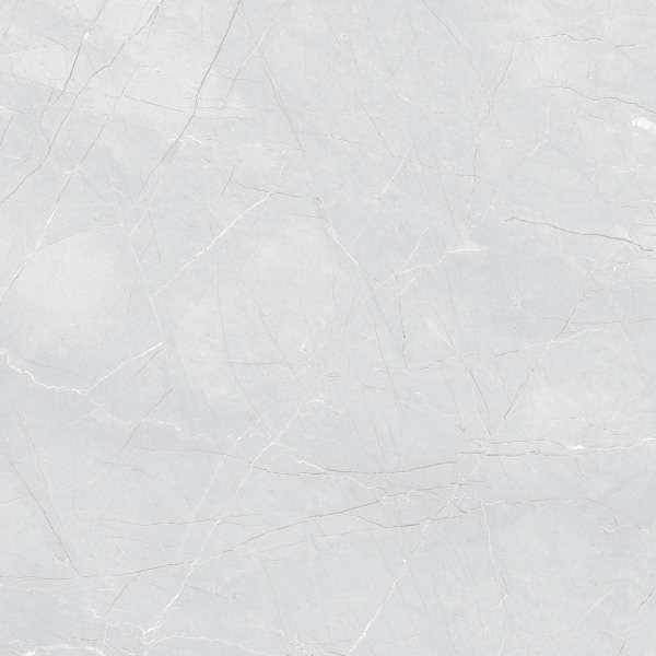 กระเบื้อง พัลพิส ไลท์ (POL)(EXC) R/T 60X60 cm-1