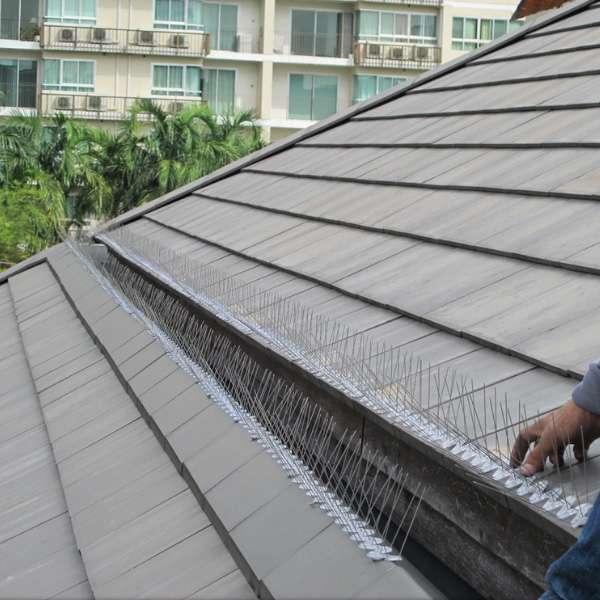 ค่าสำรวจบริการติดตั้งอุปกรณ์ป้องกันนก-1