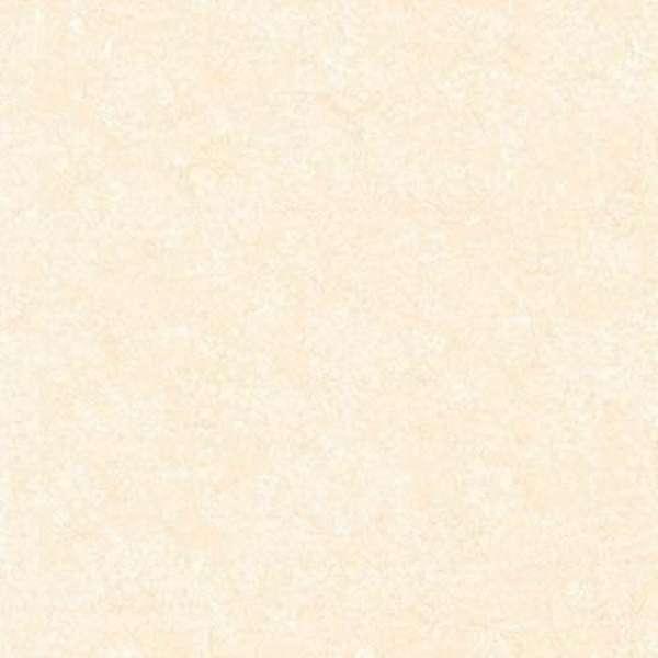 กระเบื้อง โบเตก้า 9634 R/T (GLO) (EXC)(HC) 60X60 A จำนวน 4 แผ่น/กล่อง HOME CHOICE BY SCG HOME-1