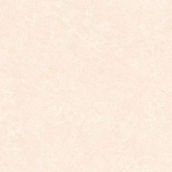 กระเบื้อง บารอร์น 7006 R/T (GLO) (EXC)(HC) 60X60 A จำนวน 4 แผ่น/กล่อง HOME CHOICE BY SCG HOME-1