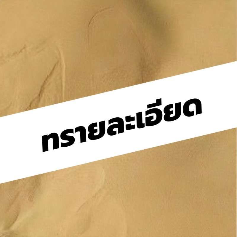 ทรายละเอียด (คิว)-1