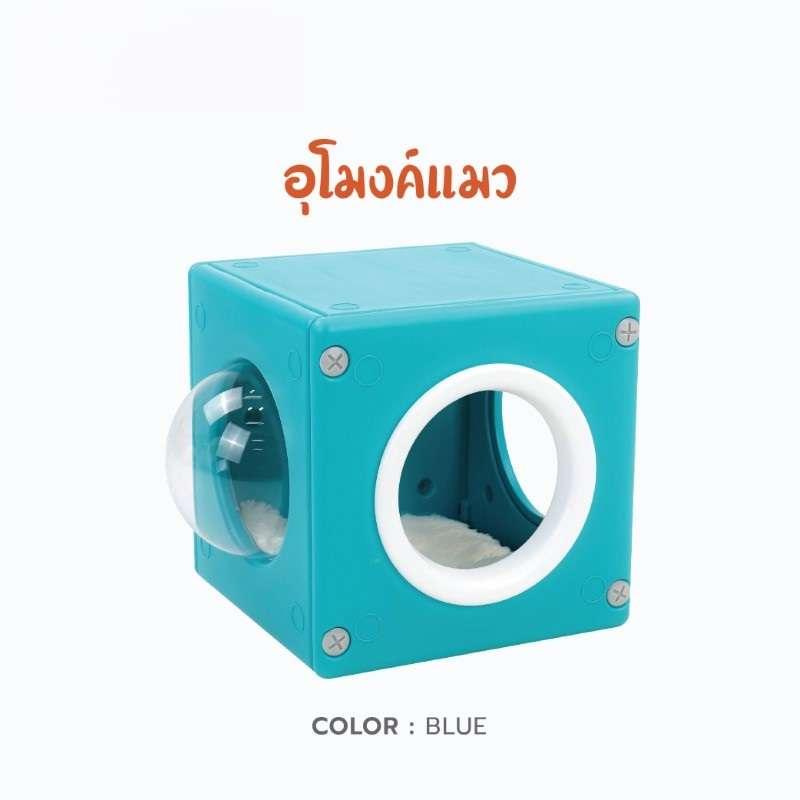 อุโมงค์แมว Hosttail แบบกล่อง สีฟ้า-1