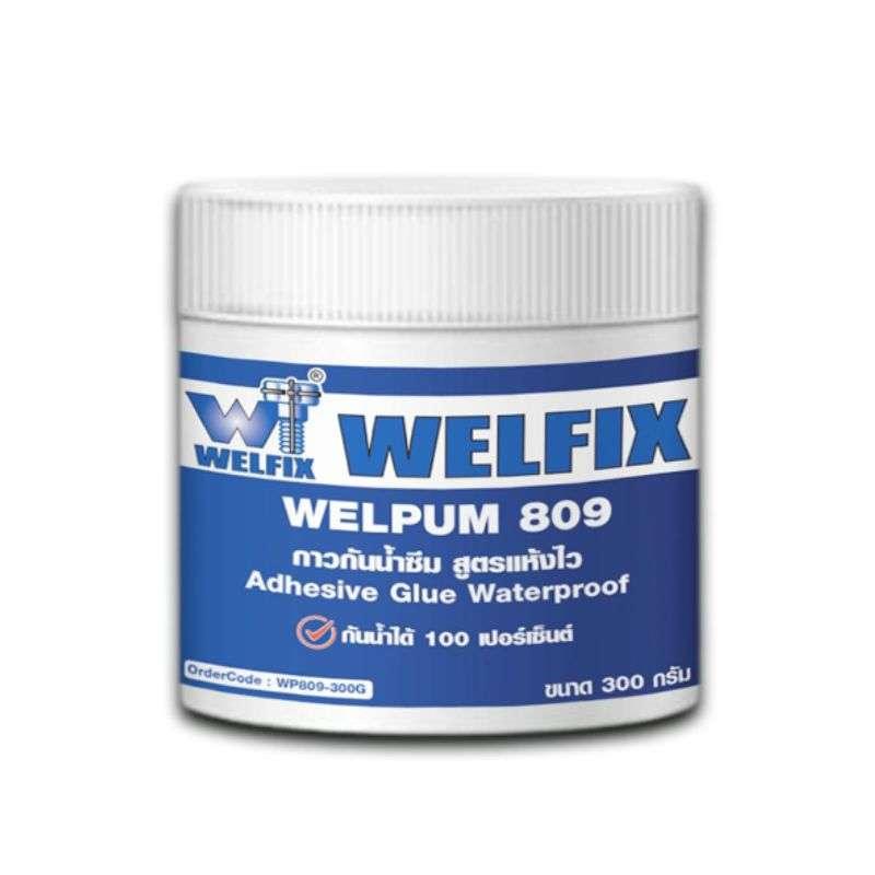 กาวกันน้ำซึมสูตรแห้งไว WELPUM 809 สีหมอก ขนาด 300 กรัม-1