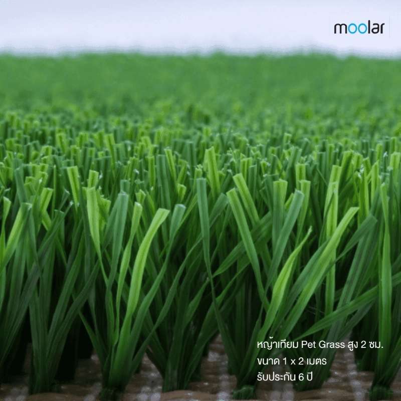 หญ้าเทียมสำหรับสัตว์เลี้ยง Moolar  สูง 2 ซม. ขนาด 1 x 2 เมตร รุ่น Pet Grass-1