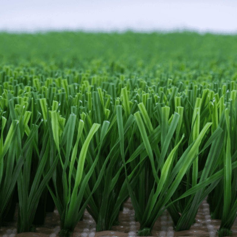 หญ้าเทียม Pet Grass/2cm(1x4m) Moolar-1