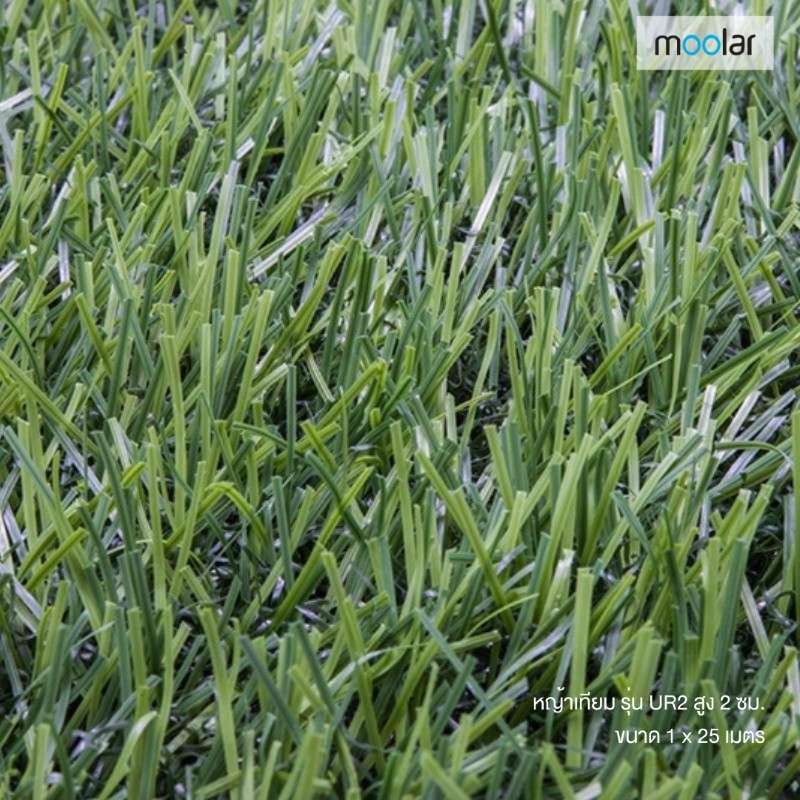 หญ้าเทียม Moolar  สูง 2 ซม. ขนาด 1 x 25 เมตร รุ่น UR2-1