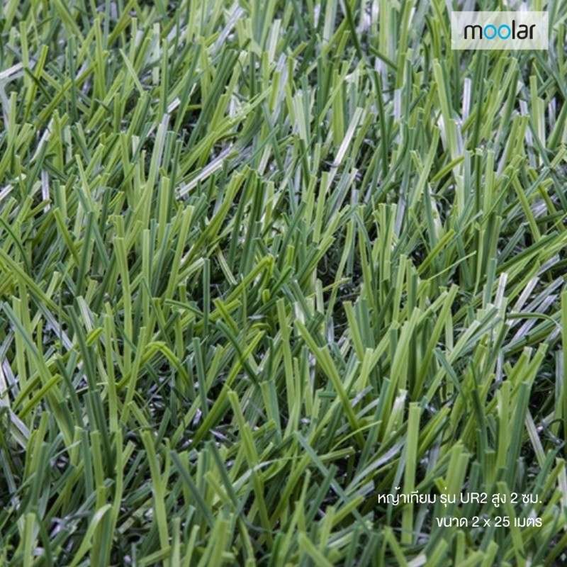 หญ้าเทียม Moolar  สูง 2 ซม. ขนาด 2 x 25 เมตร รุ่น UR2-1