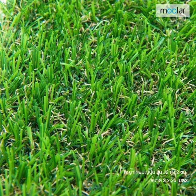 หญ้าเทียมญี่ปุ่น สูง 2 ซม. ขนาด 2 x 25 เมตร รุ่น J2-1