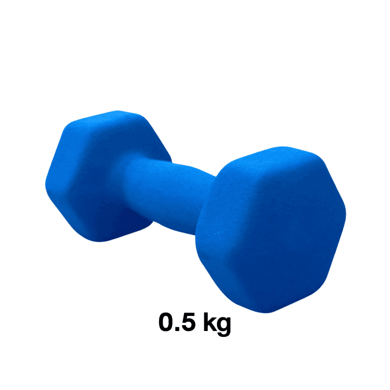 ดัมเบลผู้หญิง ขนาด 0.5 kg 2 ชิ้น คละสี - Homefittools-1