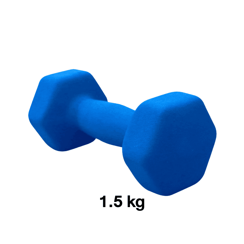 ดัมเบลผู้หญิง ขนาด 1.5 kg 1 ชิ้น คละสี - Homefittools-1