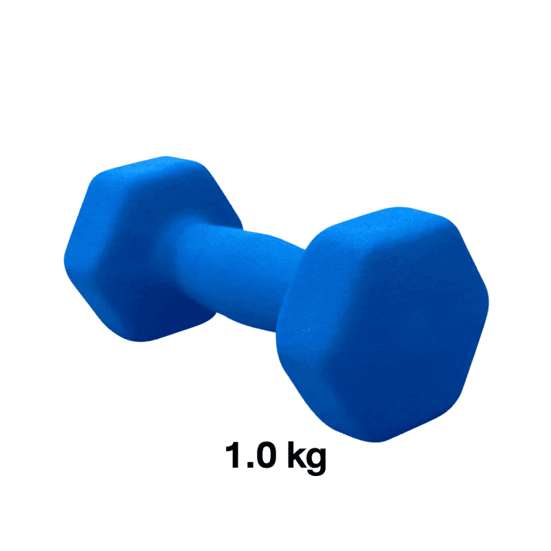 ดัมเบลผู้หญิง ขนาด 1 kg 1 ชิ้น คละสี - Homefittools-1