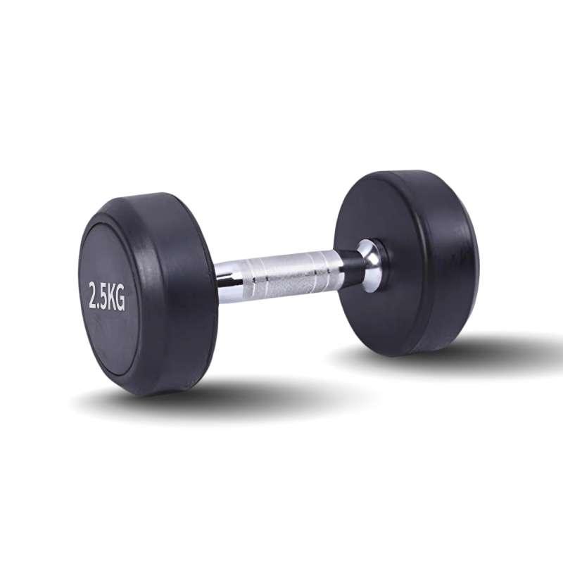 ดัมเบลกลม 2.5 kg 1 คู่ - Homefittools-1