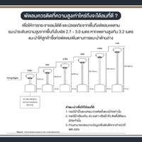 พัดลมเพดาน MR KEN TROPICANA 52 นิ้ว ปาล์มธรรมชาติ DC-4