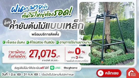 ฝนมา พายุเข้า ป้องกันต้นไม้ล้มได้ ! ด้วยชุดค้ำยันต้นไม้พร้อมเสาเข็มเหล็ก