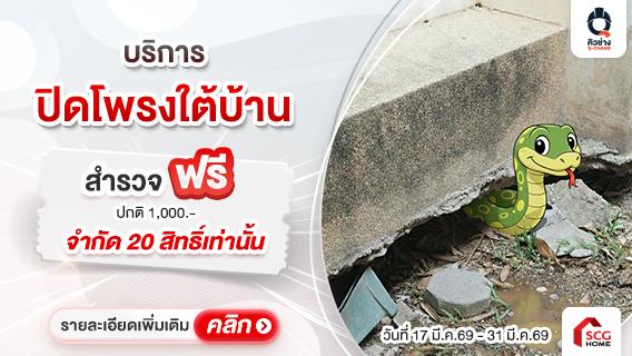 สำรวจฟรี ! บริการปิดโพรงใต้บ้าน ป้องกันงู หนู สัตว์เลื้อยคลาน