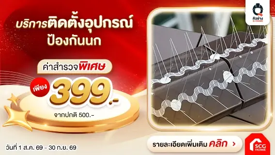 บริการติดตั้งหนาม-ตาข่ายป้องกันนก อยู่สบายหมดปัญหาเรื่องนกก่อกวน