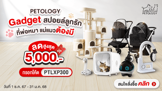 ลดสุดปัง! Gadget เพื่อสัตว์เลี้ยง นวัตกรรมสำหรับสัตว์เลี้ยงที่ทุกบ้านควรมี