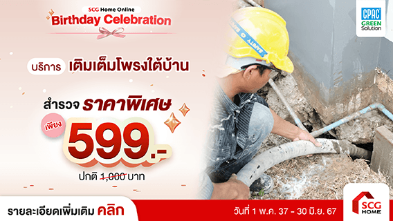 เคลียร์จบทุกปัญหา โพรง ป้องกันสัตว์ร้าย ใต้บ้าน อย่างตรงจุด