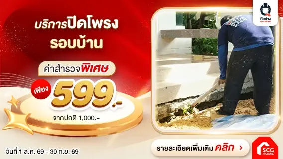 โพรงใต้บ้านแหล่งที่อยู่ของ งู หนู สัตว์เลื้อยคลาน แก้ไขได้ด้วยบริการปิดโพรงใต้บ้าน ด้วยแผ่นสมาร์ทบอร์ด